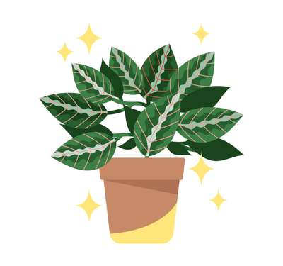 Happy Plant third chapter